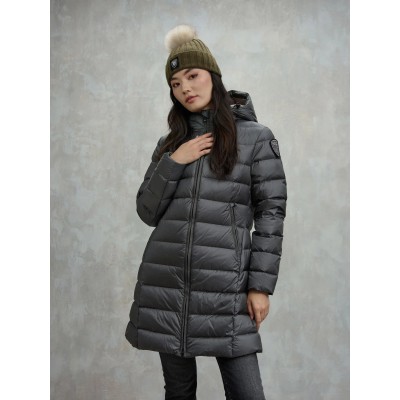 Plumifero BLAUER
