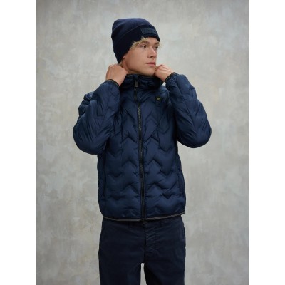Plumifero BLAUER
